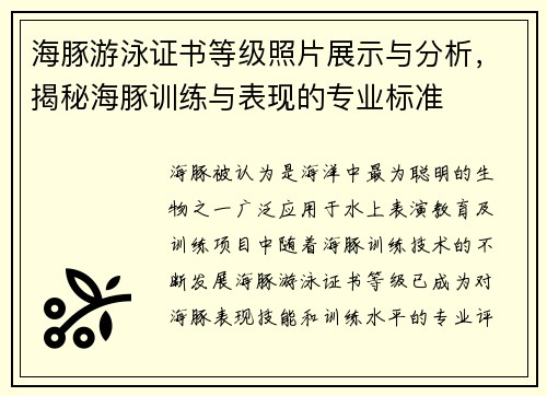 海豚游泳证书等级照片展示与分析，揭秘海豚训练与表现的专业标准